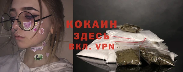 стаф Горняк
