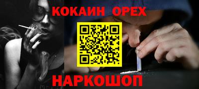 крисы Гатчина