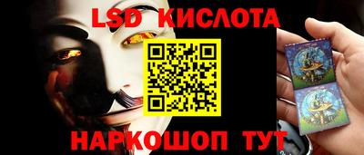 крисы Гатчина