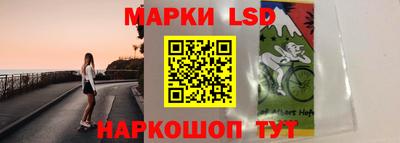 крисы Гатчина