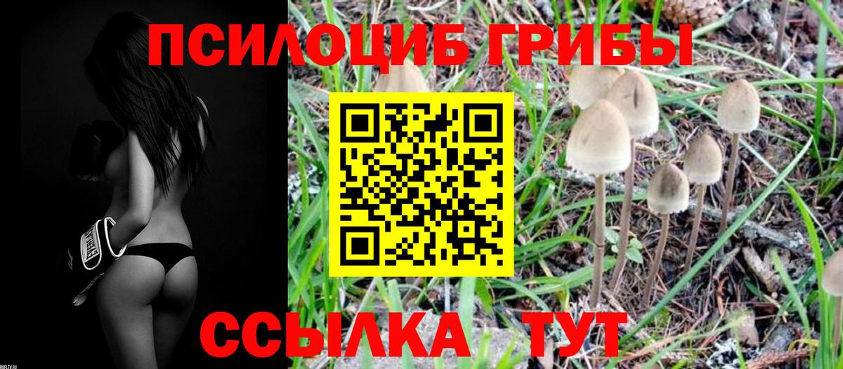 Псилоцибиновые грибы Psilocybine cubensis Джанкой