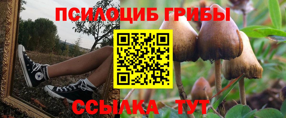 Псилоцибиновые грибы ЛСД  Джанкой 