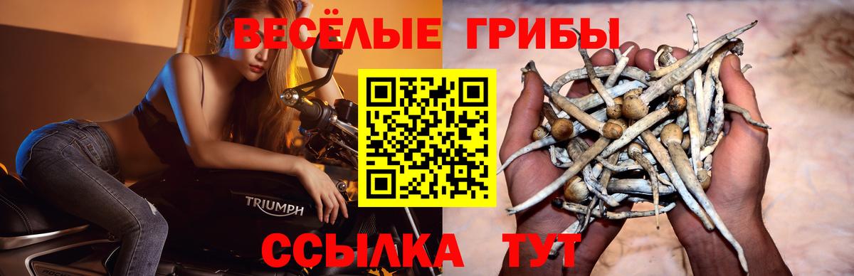 Джанкой  Галлюциногенные грибы GOLDEN TEACHER  Вход с VPN 